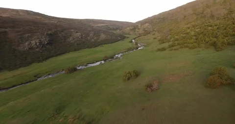 Aerial view of Beech Forest Spain 5 Stockbeeldmateriaal 87377247