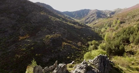 Aerial view of Beech Forest in Spain Stockbeeldmateriaal 87559514