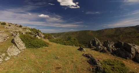 Aerial view of Beech Forest in Spain 2 Stockbeeldmateriaal 87559545