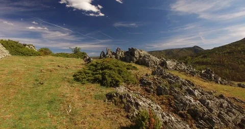 Aerial view of Beech Forest in Spain 4 Stockbeeldmateriaal 87559730