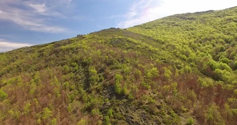 Aerial view of Beech Forest in Spain 5 Stockbeeldmateriaal 87560601