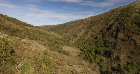 Aerial view of Beech Forest in Spain 6 Stockbeeldmateriaal 88032503