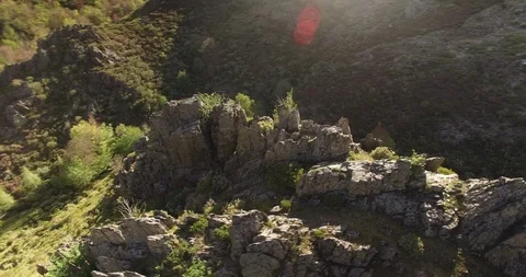 Aerial view of Beech Forest in Spain 7 Stockbeeldmateriaal 88032967