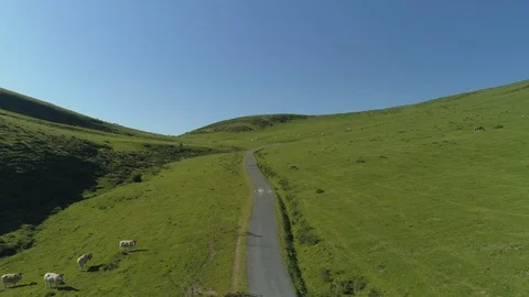 Aerial view of beef cows grazing in the mountains Stock Footage 129562626