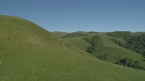 Aerial view of beef cows grazing in the mountains Stock Footage 129568600