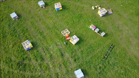 Aerial view of a beekeeper around his hives Stock Footage 88819560