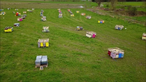 Aerial view of a beekeeper around his hives Stock Footage 88820207