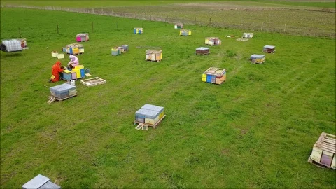 Aerial view of a beekeeper around his hives Stock Footage 88820243