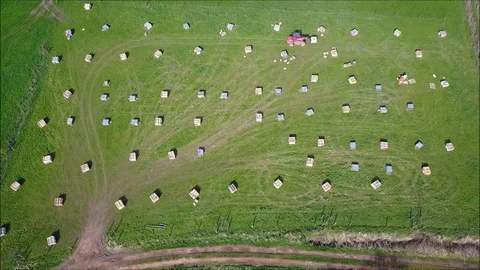 Aerial view of a beekeeper around his hives Stock Footage 88820481