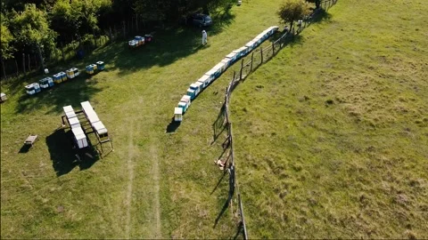 Aerial view of beekeeper walking in his apiary Stock Footage 131776238