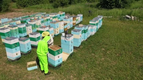 Aerial view of beekeepers at work Stockbeeldmateriaal 327732221