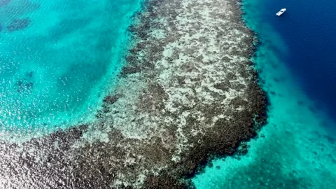 Aerial view of Belize  Blue hole. Stock Footage 131111166