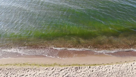 Aerial view of belize ocean cost drone tilt down Stock Footage 164930376