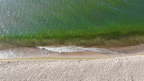 Aerial view of belize ocean cost drone tilt down Stock Footage 164930499
