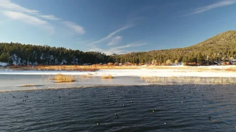 Aerial View of Big Bear Lake with Snow Ice Birds Trees and Houses Video stock 150775462