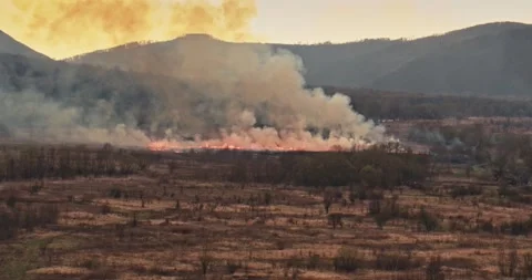 Aerial view: A big fire in the field. People set fire to dry grass. 4k Stockbeeldmateriaal 162568992