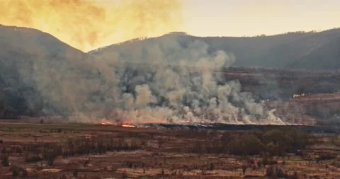 Aerial view: A big fire in the field. People set fire to dry grass. 4k Stockbeeldmateriaal 165083199