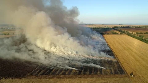 Aerial view of big fire with smoke in the field during harvest Stock Footage