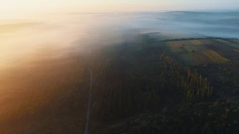 Aerial view of big forest underneath a thick layer of clouds, during sunset. Stock Footage 114452238