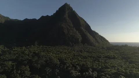Aerial View of Big Mountain with Forest on Coast of Kauai, Hawaii Stock Footage 125789157
