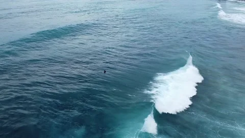 Aerial View | Big Waves Break on Caribbean Coastline with Surfer Stock Footage 142243290