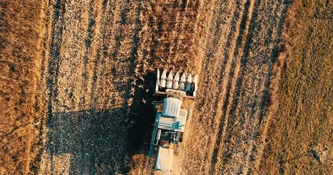 Aerial view, bird eye view of agriculture harvest during fall season. Stock Footage 100971288