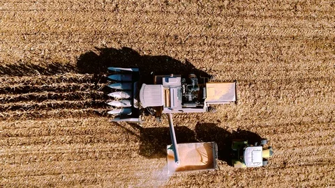 Aerial view, bird eye view of agriculture harvest during fall season. Stock Footage 100971289