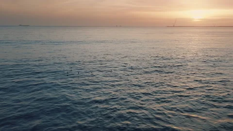 Aerial view of birds flying into the sunset above the sea surface Stock Footage 285665161