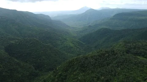 Aerial View of Black River Gorges National Park, Curepipe, Mauritius Stock Footage 330657302