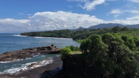 Aerial view of black sand beach next to rice fields in Bali, Indonesia Stock Footage 320514438