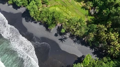Aerial view of black sand beach next to rice fields in Bali, Indonesia Stock Footage 320514581