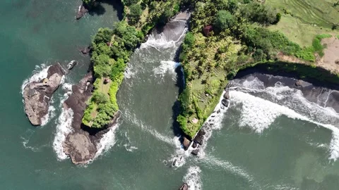 Aerial view of black sand beach next to rice fields in Bali, Indonesia Stock Footage 320514620