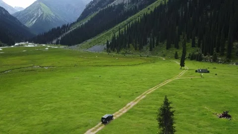 Aerial View of Black SUV Driving through Vast Green Mountain Valley Video stock 331991453