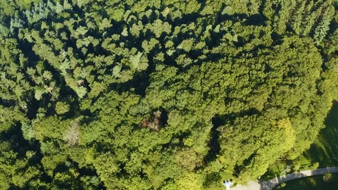 Aerial view of the blackforest. Stock Footage 116646484