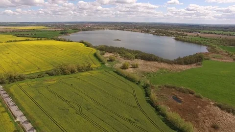 Aerial view of blooming Canola rape fields with a lake under blue sky Stock Footage 75441113