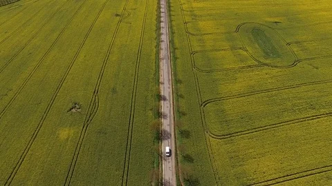 Aerial view of blooming rape fields along a Country Road. Car is passing by Stock Footage