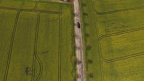 Aerial view of blooming  rape fields along a Country Road.  Car is passing by Stock Footage 75441791