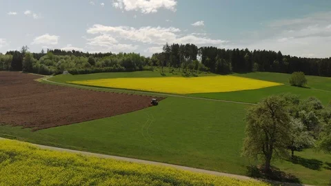 Aerial view of blooming Rapeseed Fields at a sunny Day Video stock 98231947