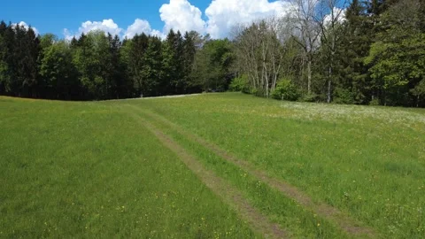 Aerial view of blooming spring meadow and green countryside in May. Stock Footage 336466743