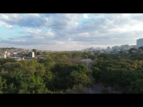 Aerial View of Blossoming Trees Along Park Path, Drone Shot Stock Footage 341830431