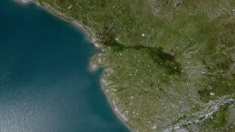 Aerial view of a blue alpine lake with rocky shore and cow grazing in the meadow Vidéo 252178971