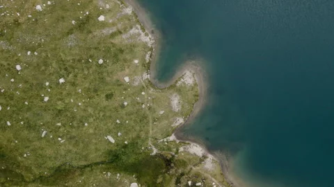 Aerial view of a blue alpine lake with rocky shore and cow grazing in the meadow Stock Footage 252179420