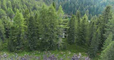Aerial view of blue Lake in the Mountains surrounded by green forest Stock Footage 197445853