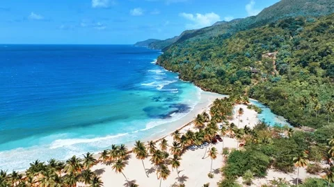 Aerial view of blue ocean at idyllic sandy natural tropical island. Stock Footage 309200717
