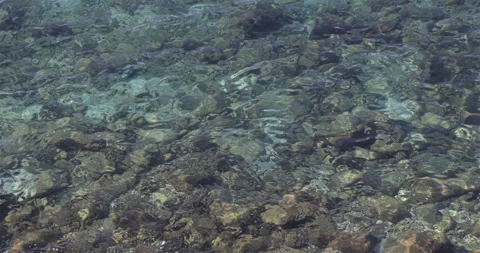 Aerial view of a blue water waves above stones on the bottom Stock Footage 296215853
