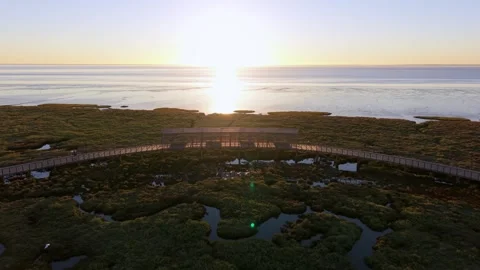 Aerial view: boardwalk meanders through marshes at sunrise Video stock 345223052