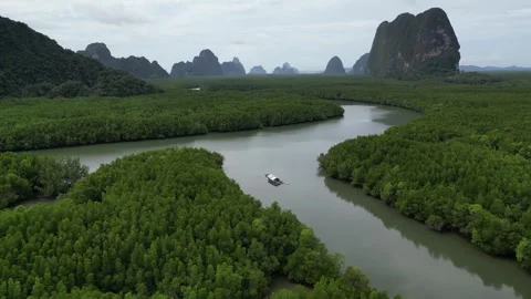 Aerial View of Boat Navigating Mangrove Forest River in Phang Nga, Thailand Video stock 334623574