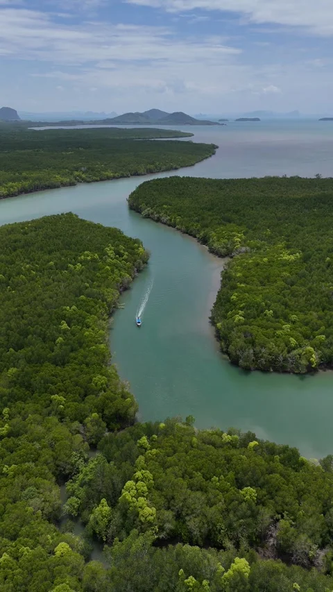 Aerial View of a Boat Navigating Mangrove Forest River in Koh Lanta, Thailand Stock Footage 335948675