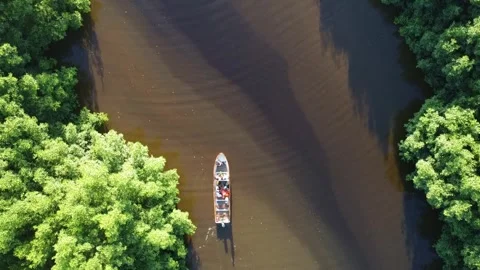 Aerial view of a boat navigating a river surrounded by lush green vegetation Stock Footage 317660659