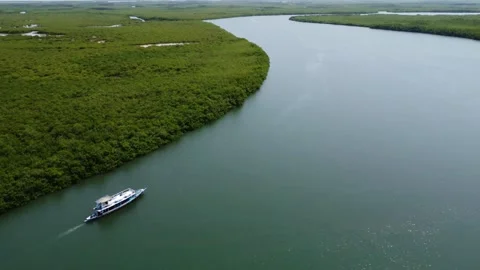 Aerial view of a boat navigating a river with lush green vegetation on the side Stock Footage 317997742